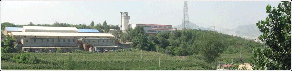通遼網站建設,通遼網站優化,通遼建站,通遼軟件開發